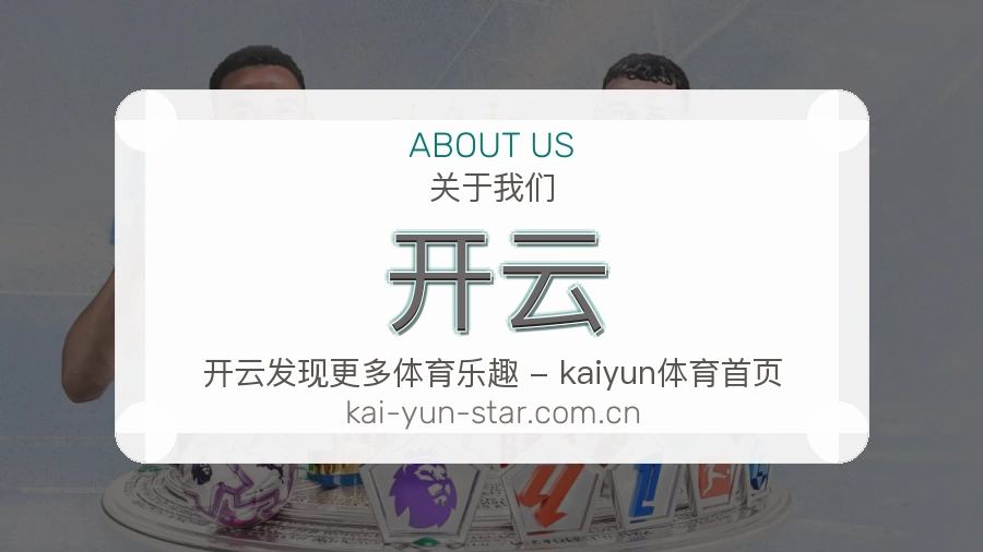 开云体育页面访问说明